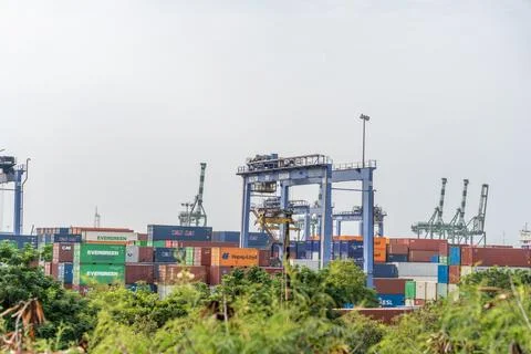 A large blue crane is in the middle of a large green field. in Chennai Photos