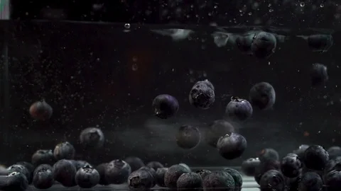 Large blueberries falling one by one into a tank full of water Stock Footage 111945206