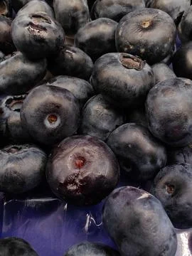 Large blueberries Stock Photos