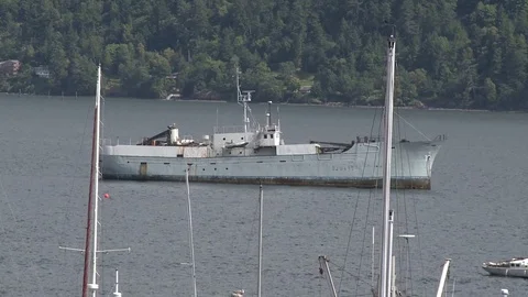 Large boat shipwrecked Stock Footage 75210558