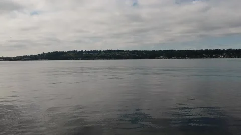 A large body of water Video stock 155509461