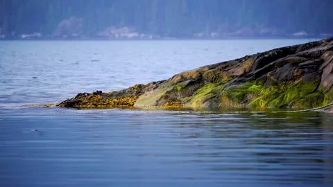 A large body of water Stock Footage 155584093