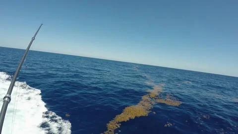 A large body of water Video stock 155588267