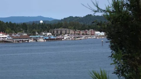 A large body of water Stock Footage 156010679