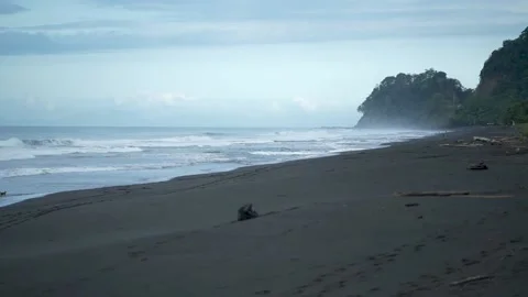 A large body of water Stock Footage 156011372