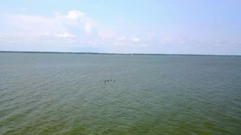 A large body of water Video stock 156016283