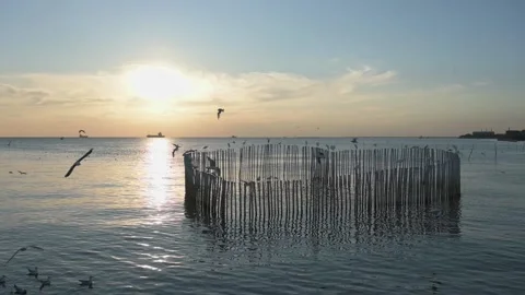 A large body of water Vidéo 156848898