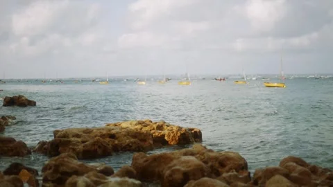 A large body of water with many small boats floating on it Stock Footage 297949047