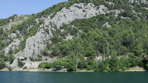 A large body of water surrounded by trees Stock Footage 156012751