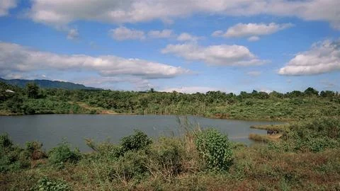 A large body of water surrounded by trees and bushes Stock Photos