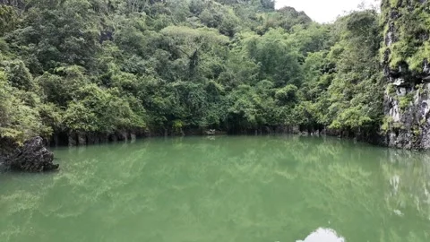 A large body of water with trees surrounding it Video stock 277641830
