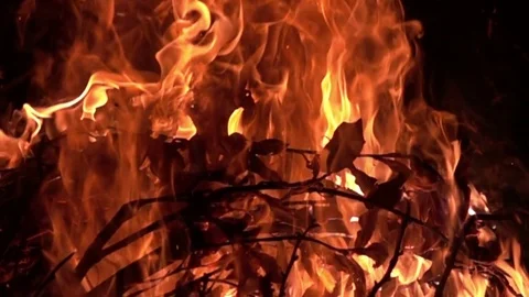 Large Bonfire, Close Up Stock Footage 71574173