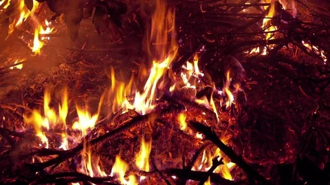 Large Bonfire, Medium Shot Stock Footage 71652482