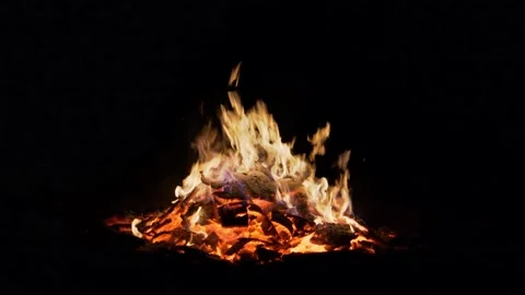 Large Bonfire At Night Stock Footage 231199716