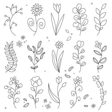 Large botanical line art element set flowers and leaves Stock Illustration