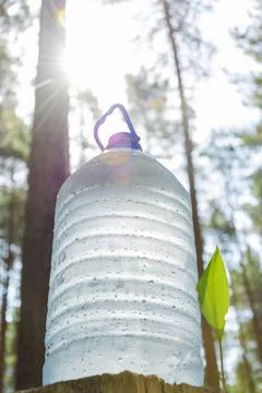 A large bottle of fresh, clean drinking water stands in the forest next to th 库存照片