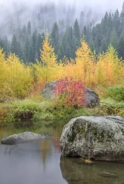 Large boulder in calm water in fall. Stock Photos