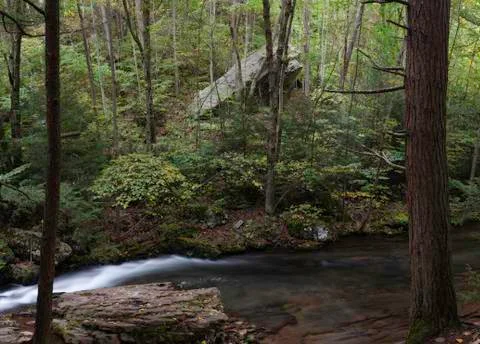 Large boulder in forest Stock Photos