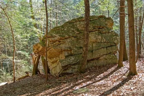 Large boulder in the forest Stock Photos