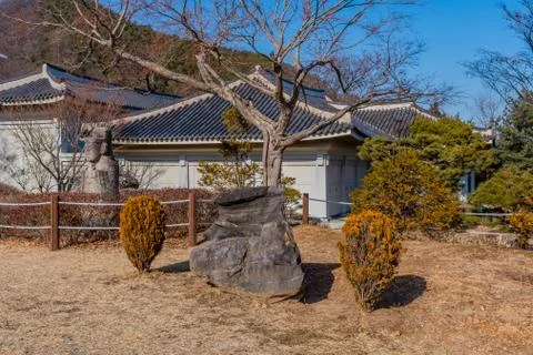Large boulder in front of tree Stock Photos