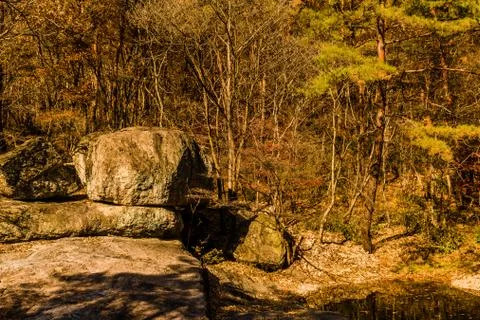 Large boulder in front of treeline Stock Photos