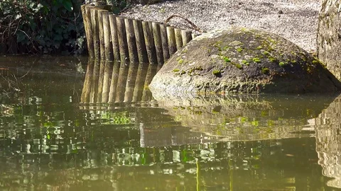Large boulder in lake water Stock Footage 90779951