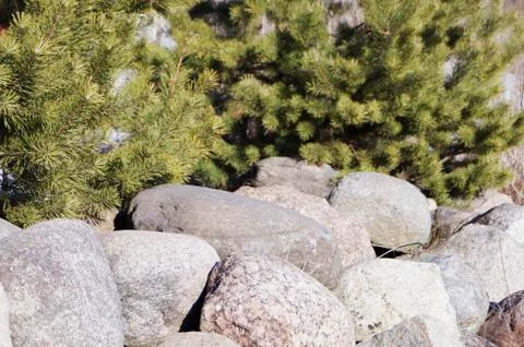 A large boulder in the sun,background Stock Photos
