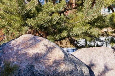 A large boulder in the sun,background Stock Photos