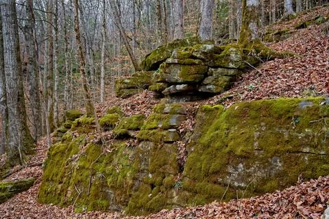 Large boulder wall in the forest Stock Photos