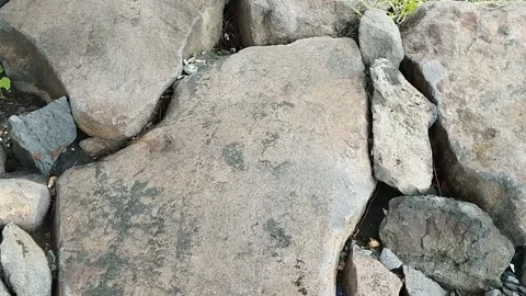 Large boulders on the beach Stock Footage 225199428