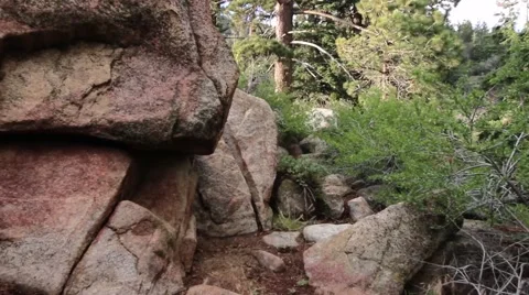 Large Boulders on forest-covered mountain Stock Footage 54675434