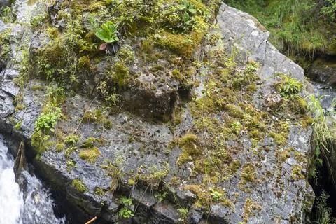 Large boulders on the path of a mountain stream Stock Photos