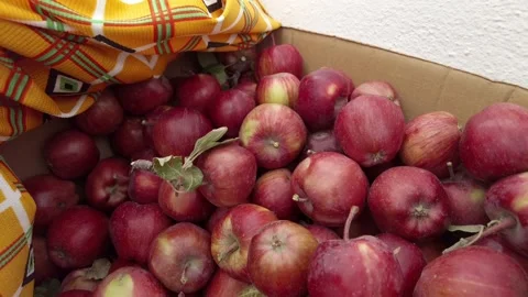 A large box of natural red apples, a large quantity of edible apples for the  Stock Footage 166322478