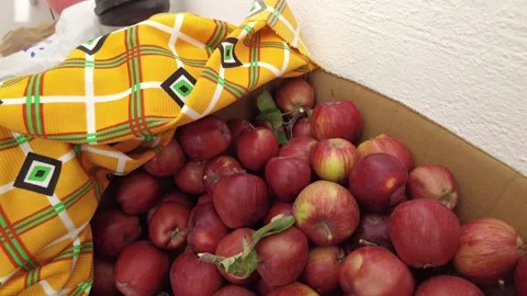 A large box of natural red apples, a large quantity of edible apples for the  動画素材 166322609