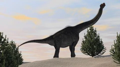 Large Brachiosaurus amongst pine trees. Stock Illustration