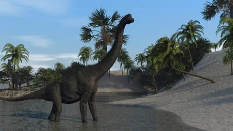 Large Brachiosaurus in shallow water. Stock Illustration
