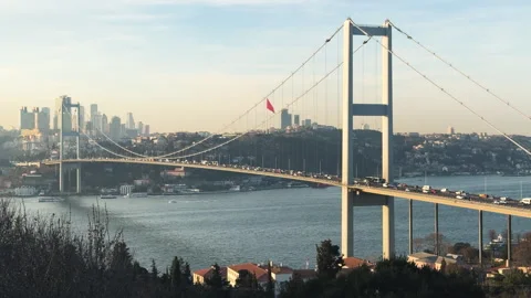 Large bridge connects two banks. Beautiful cityscape background. Stock Footage 307383775