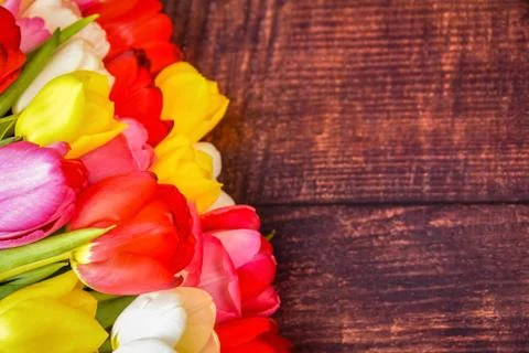 Large bright bouquet of multi-colored tulips on wooden boards of dark brown c Stock Photos