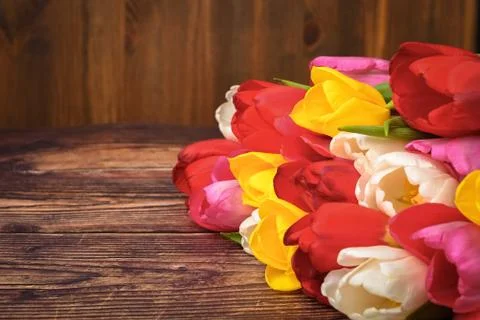 Large bright bouquet of multi-colored tulips on wooden boards of dark brown c Stock Photos