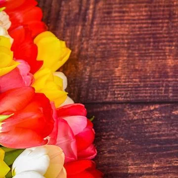 Large bright bouquet of multi-colored tulips on wooden boards of dark brown c Stock Photos