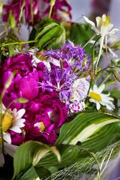 Large bright multi-colored bouquet of wildflowers with peonies and aquilegia Stock Photos