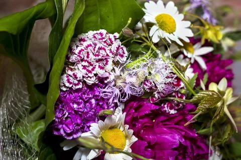 Large bright multi-colored bouquet of wildflowers with peonies and aquilegia Stock Photos