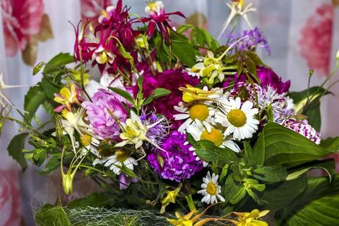 Large bright multi-colored bouquet of wildflowers with peonies and aquilegia Stock Photos