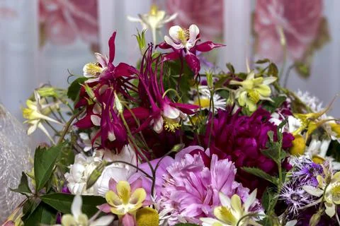 Large bright multi-colored bouquet of wildflowers with peonies and aquilegia Stock Photos