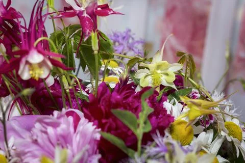 Large bright multi-colored bouquet of wildflowers with peonies and aquilegia Stock Photos