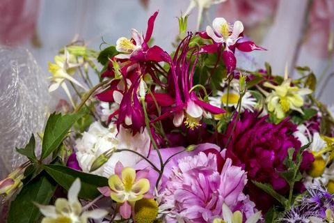 Large bright multi-colored bouquet of wildflowers with peonies and aquilegia Stock Photos