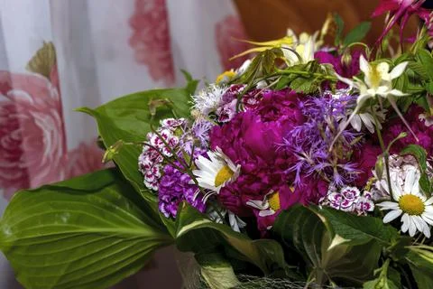 Large bright multi-colored bouquet of wildflowers with peonies and aquilegia Stock Photos