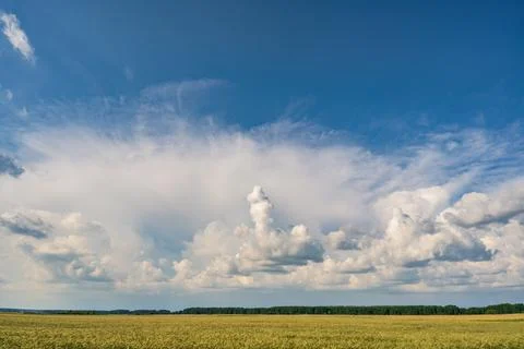 Large bright white cumulus clouds fill a blue summer sky above Fotos Stock