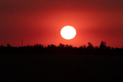 Large bright yellow sun sets over trees, electric poles and field Stock Photos