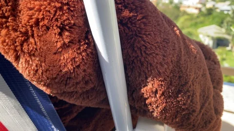 A large brown bear on the balcony sitting on a chair taking a sunbath 库存影片 128777406